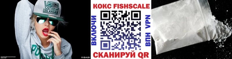 shop телеграм Полярные Зори Cocaine Fish Scale