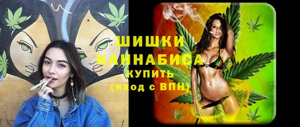 прущие грибы Няндома