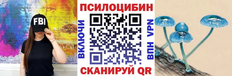 Псилоцибиновые грибы мицелий  купить закладку  ссылка на мегу маркетплейс  Полярные Зори 