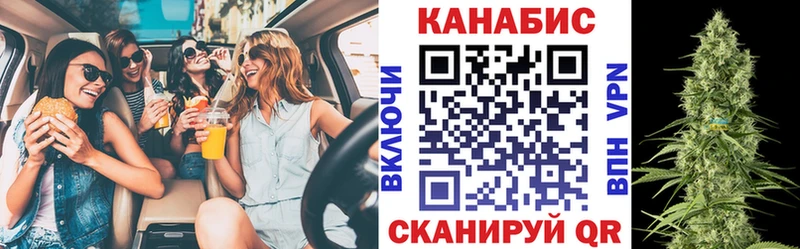 Конопля MAZAR Полярные Зори